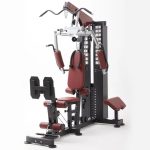 2 Station Compact Multi gym