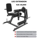 Leg Extension