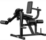Leg Extension